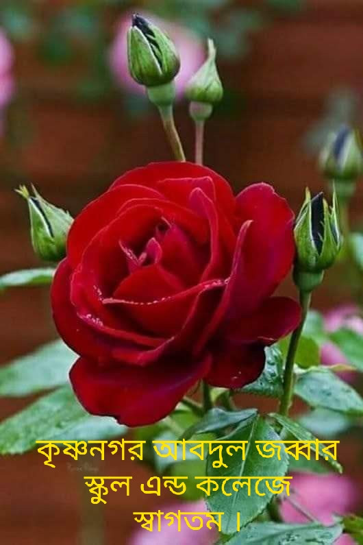সভাপতির বাণী